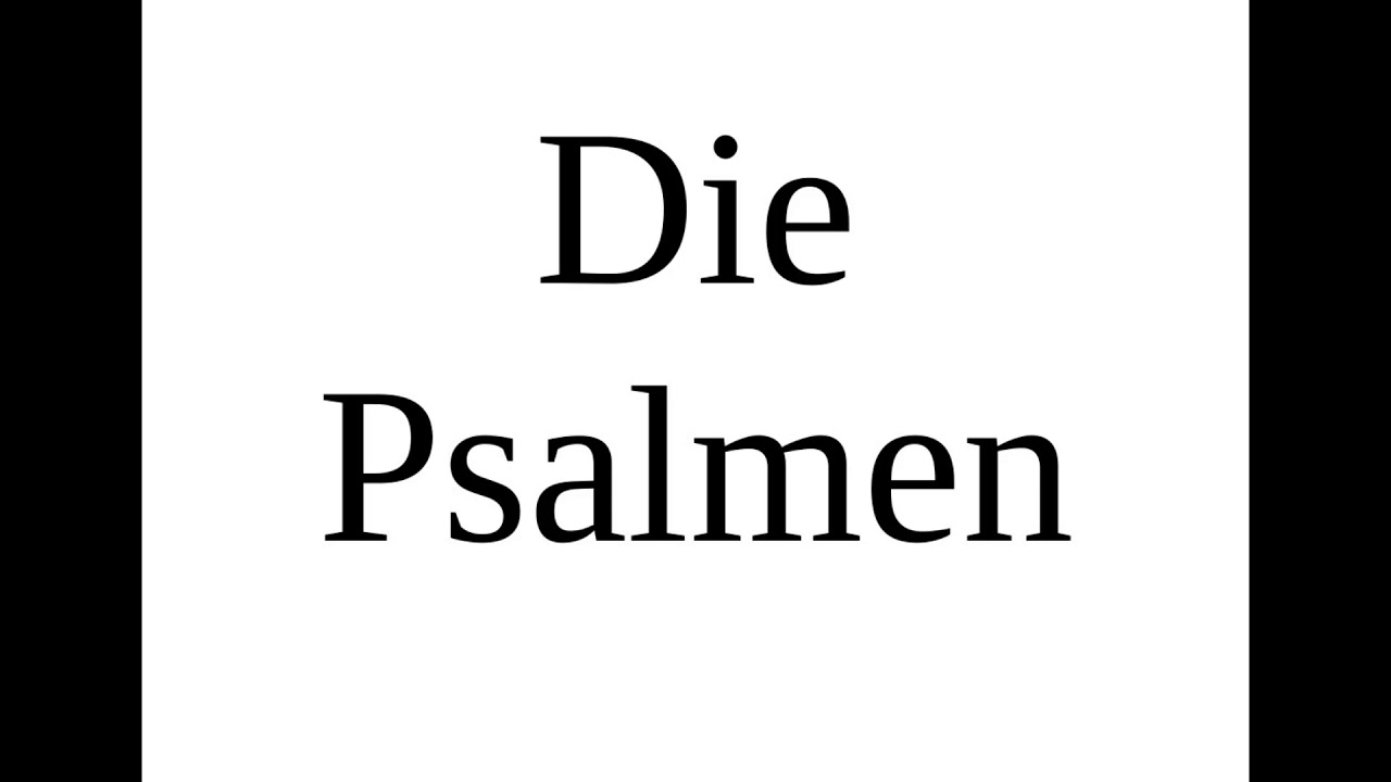 neues leben bibel